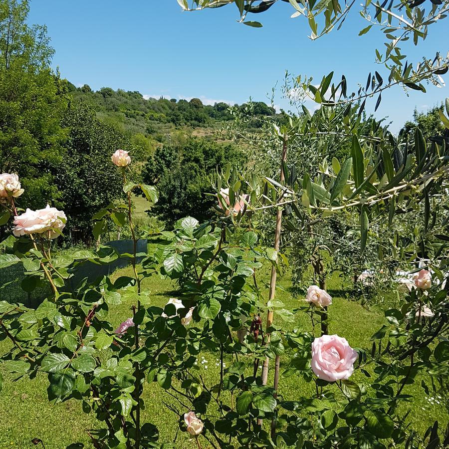 L'Albero Di Gameli Bed & Breakfast Чиуси Екстериор снимка