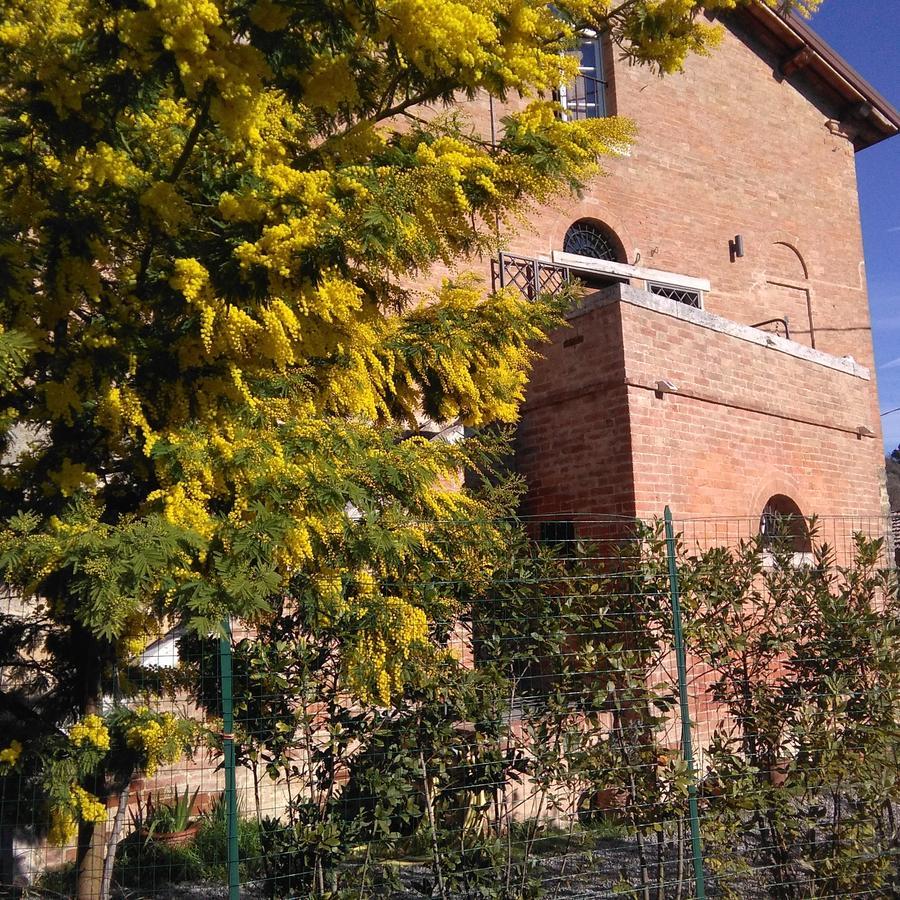 L'Albero Di Gameli Bed & Breakfast Чиуси Екстериор снимка