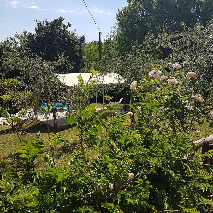 L'Albero Di Gameli Bed & Breakfast Чиуси Екстериор снимка